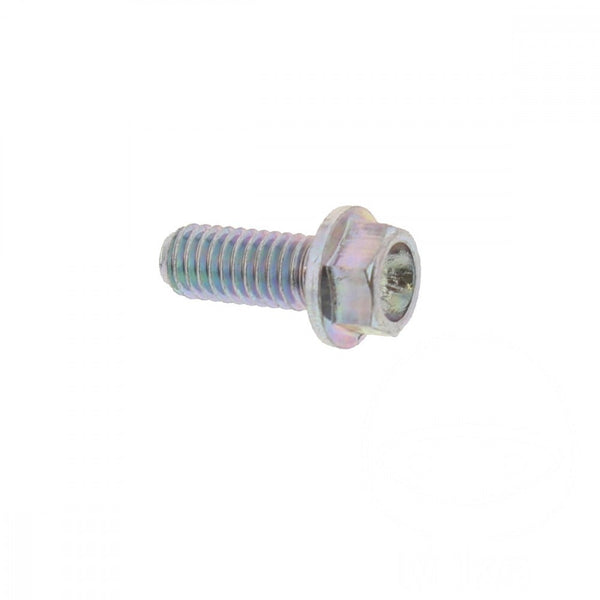 Schraube für hintere Bremsscheibe, M6X14mm, 1 Stück